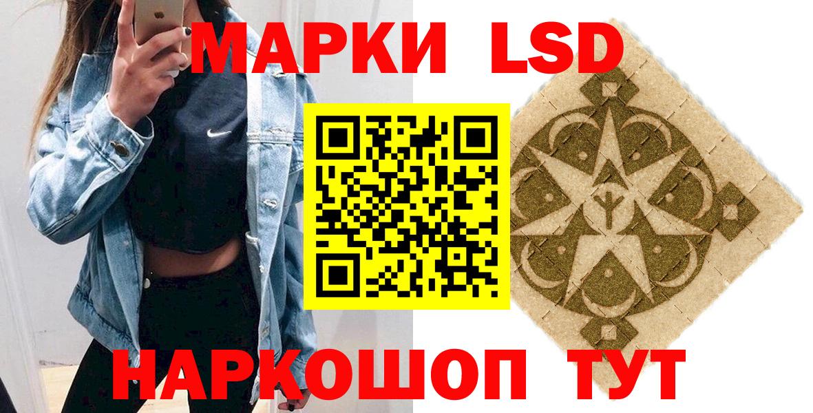 МЕФ Россошь